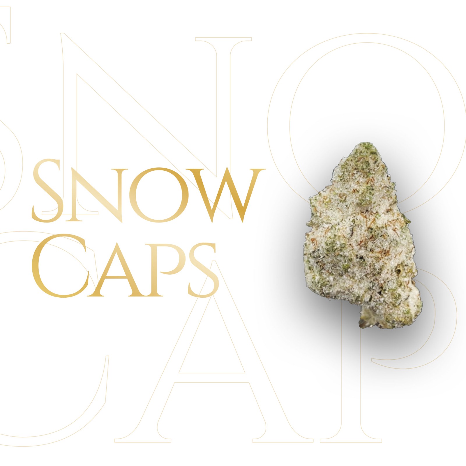 Snow Caps